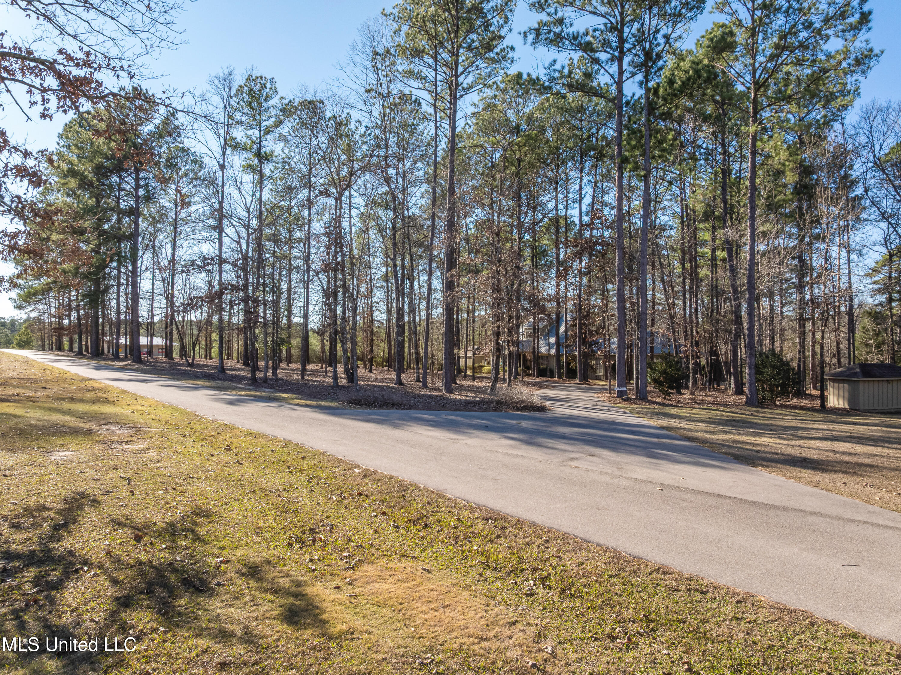 35 Boggy Hollow Road Purvis, MS 39475 - Photo 9 of 92 35_Boggy_Hollow_Rd-9