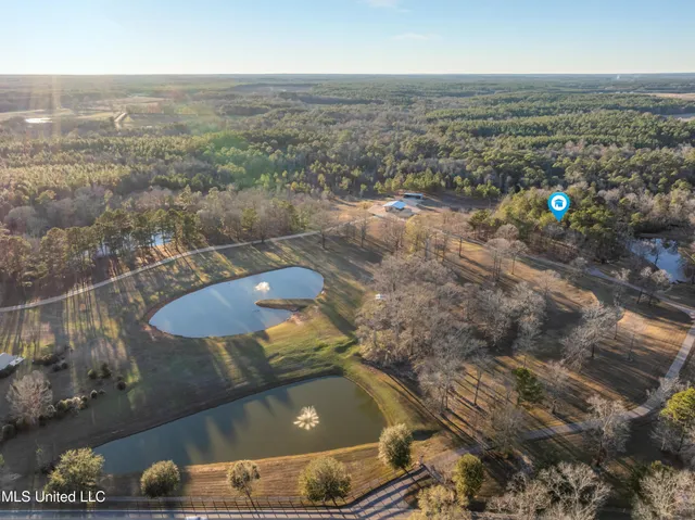 $979,900 | 35 Boggy Hollow Road, Purvis, MS 39475
