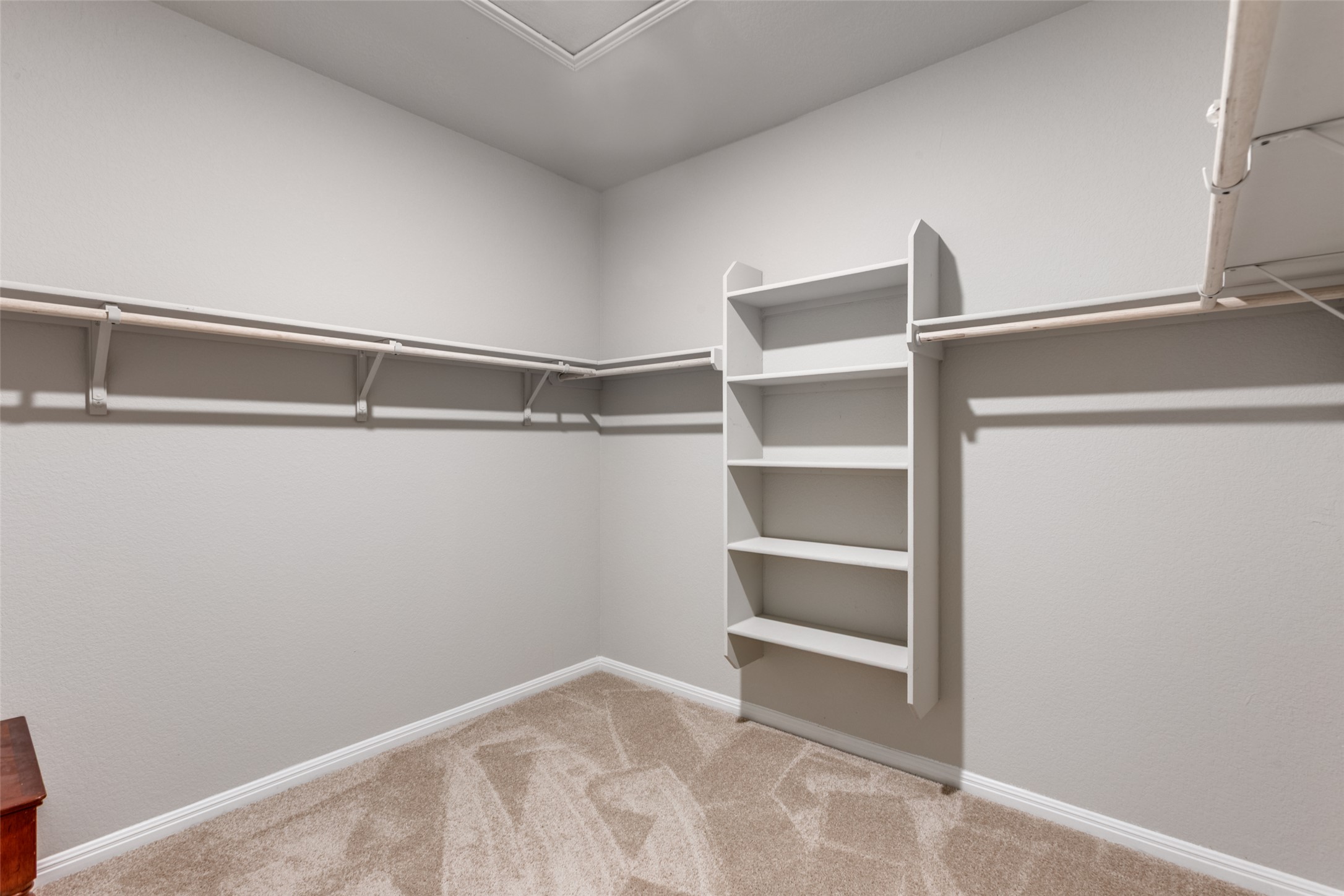 111 Rainmaker Cove Bastrop, TX 78602 - Photo 20 of 36 a view of an empty walk in closet