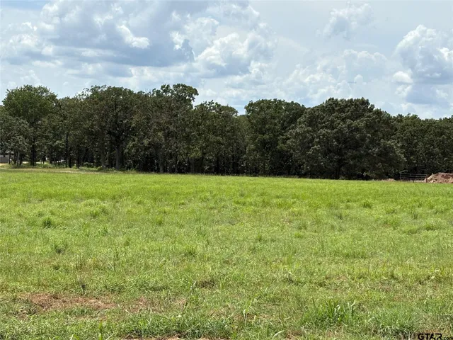 a view of a grassy field with trees in the background