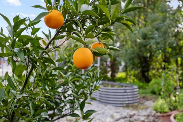 $635,500 | 1640 48th Street, Sacramento, CA 95819