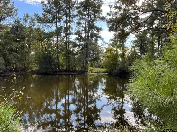 a view of lake