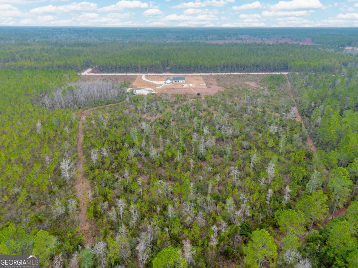 7059 Thorn Bird Road Millwood, GA 31552 - Photo 29 of 30