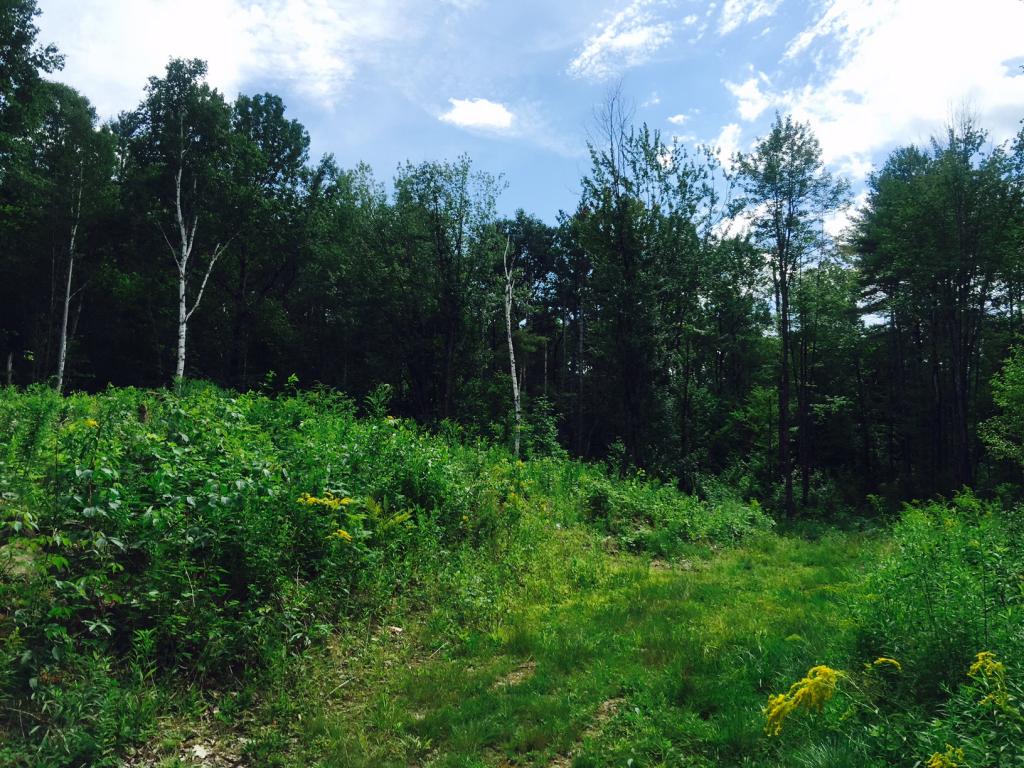 100 Smith Pond Road Enfield, NH 03748 - Photo 2 of 8 Gallery Image 2
