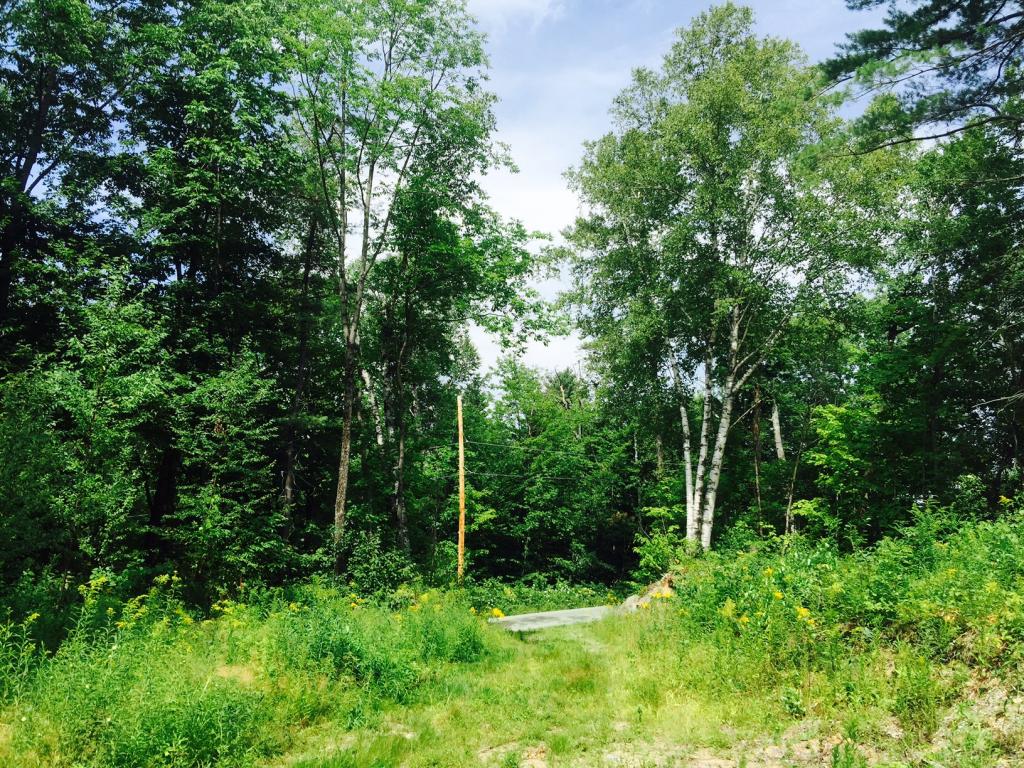 100 Smith Pond Road Enfield, NH 03748 - Photo 3 of 8 Gallery Image 3