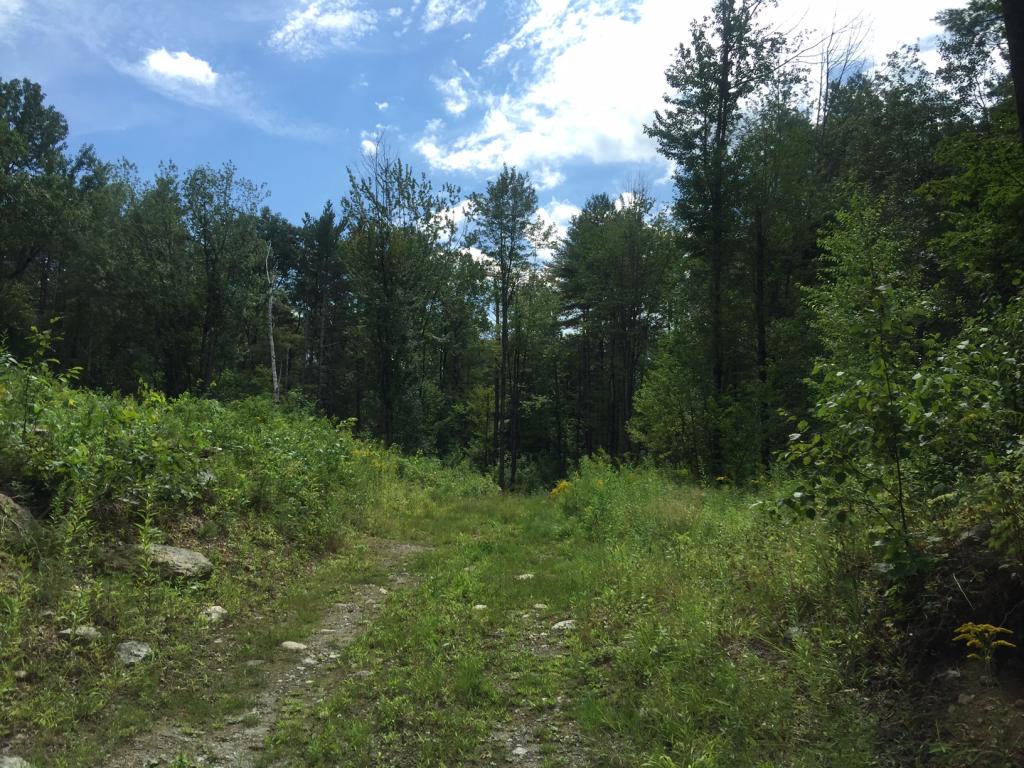 100 Smith Pond Road Enfield, NH 03748 - Photo 4 of 8 Gallery Image 4