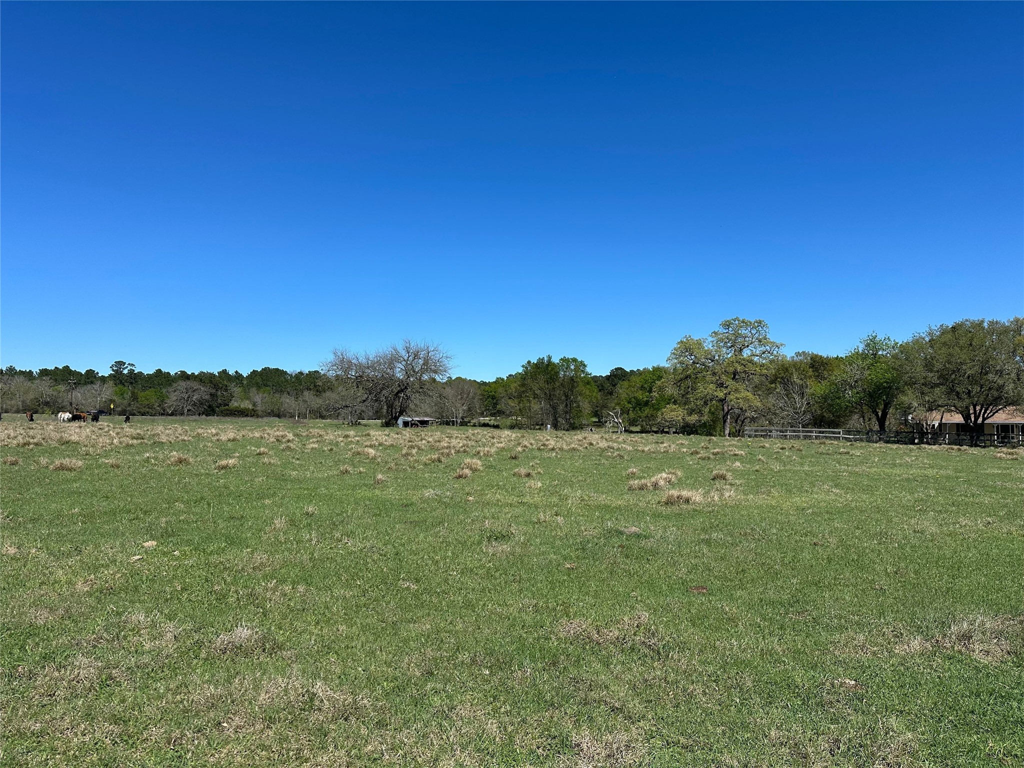 20136 Longstreet Road Richards, TX 77873 - Photo 11 of 50