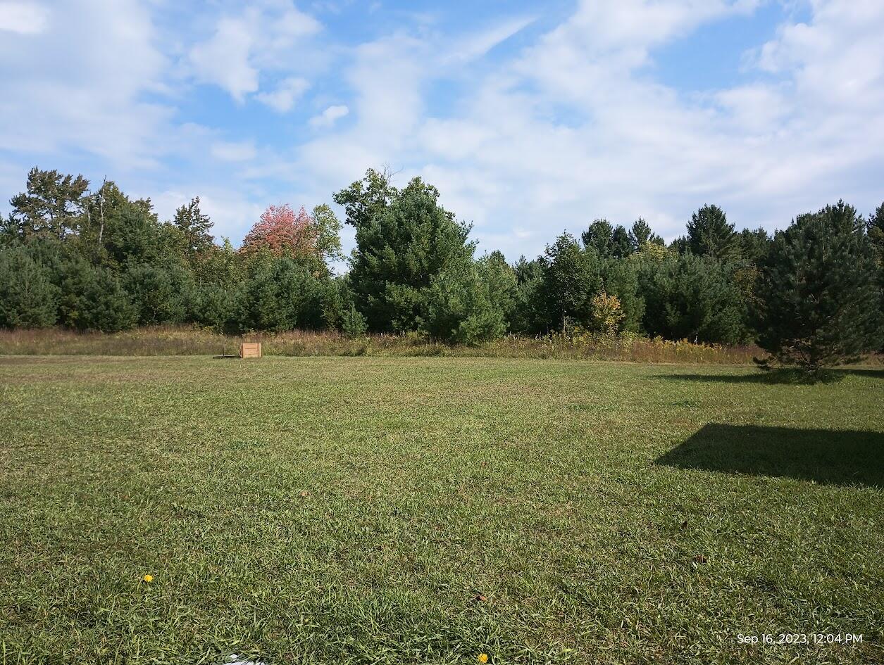 11630 Hall Road Atlanta, MI 49709 - Photo 24 of 46 IMG_20230916_120400036