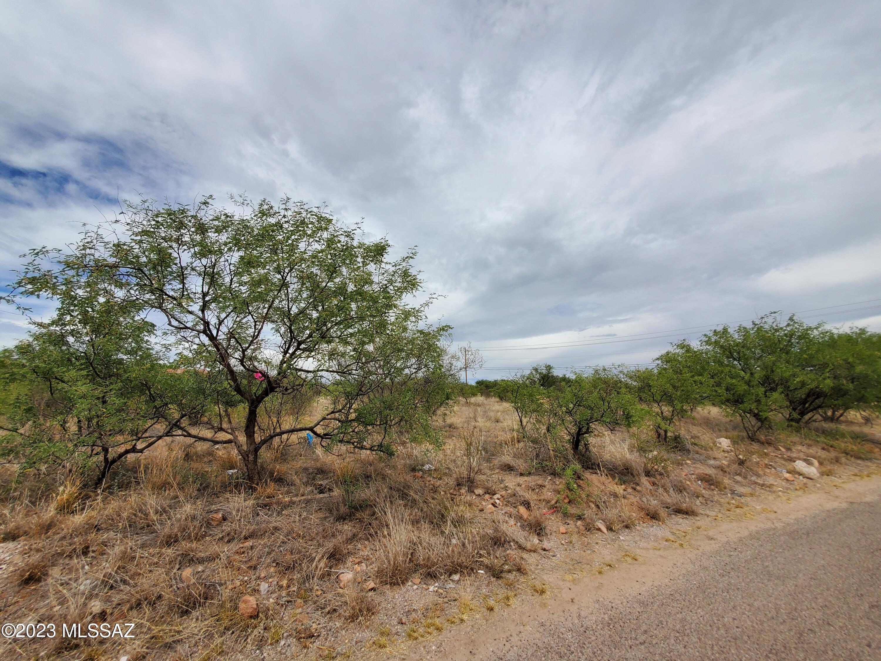 981 Camino Estrella, Unit 198 Rio Rico, AZ 85648 - Photo 6 of 11