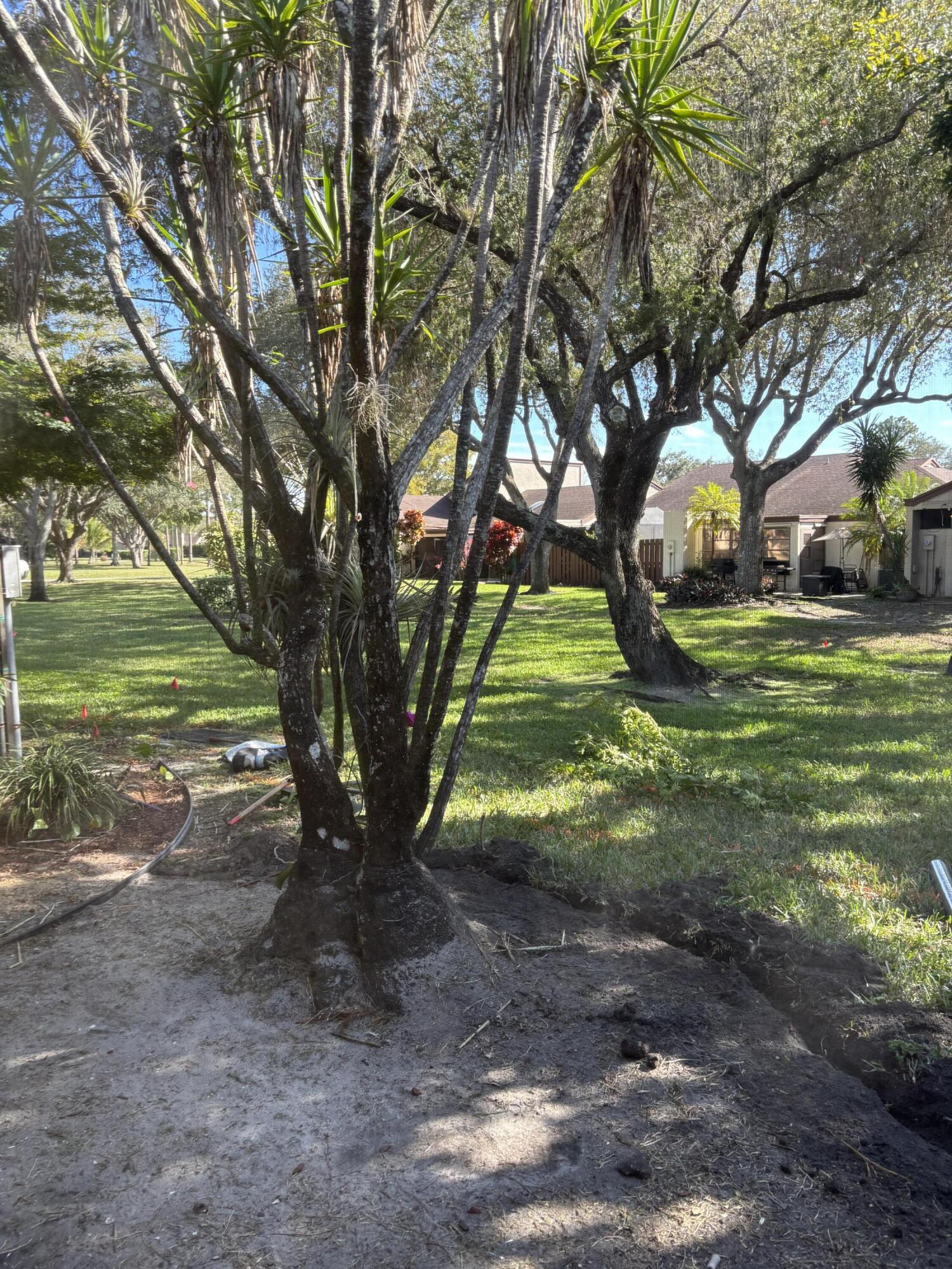11608 Orange Blossom Lane Boca Raton, FL 33428 - Photo 18 of 18 a view of a yard in a yard