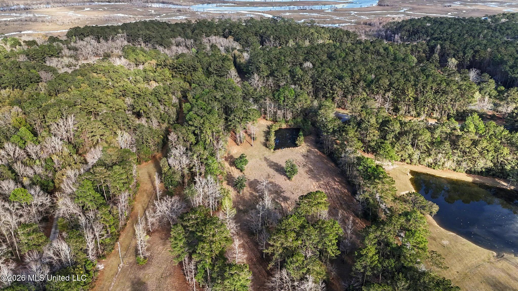 Ferry Point Road Gautier, MS 39553 - Photo 12 of 28 012