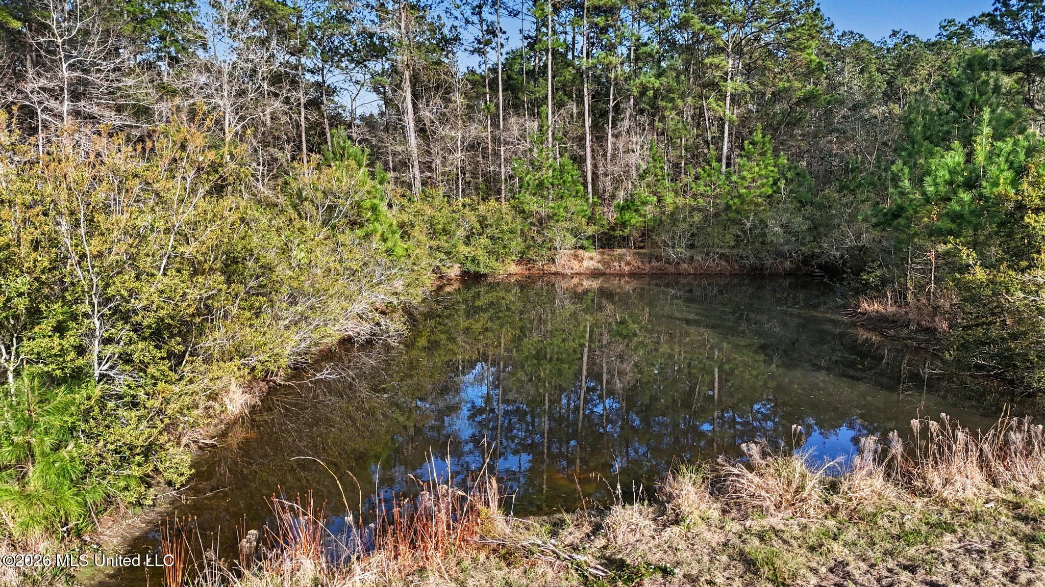 Ferry Point Road Gautier, MS 39553 - Photo 17 of 28 017