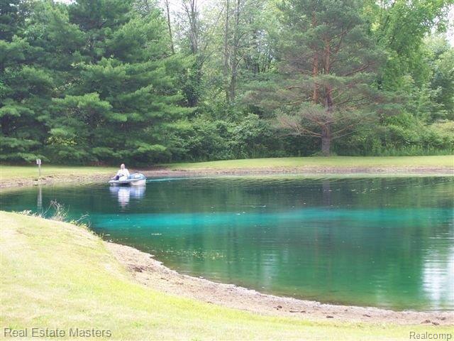 7417 Phillips Road North Street, MI 48049 - Photo 17 of 20 POND