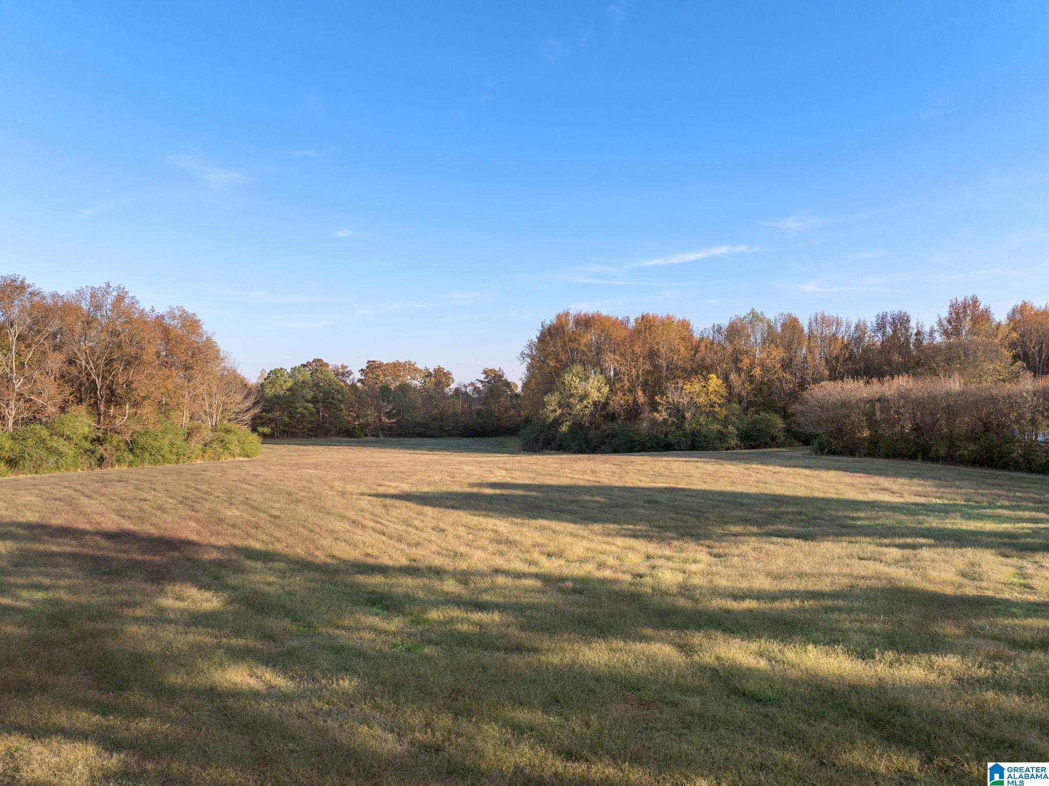 2986 Eva Road Eva, AL 35621 - Photo 21 of 32