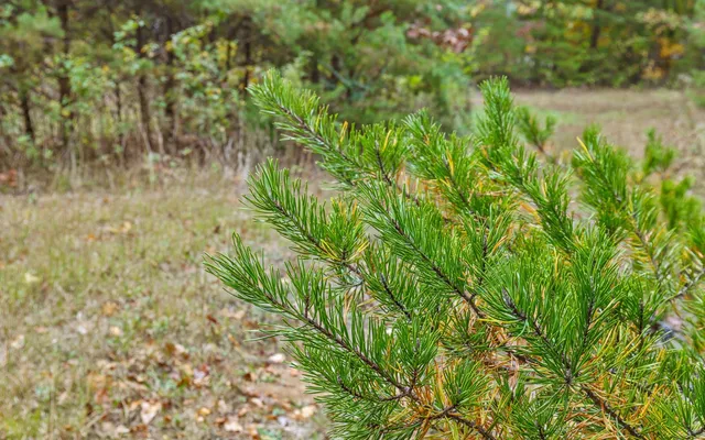 $189,900 | 2929 Battles Way, Signal Mountain, TN 37377