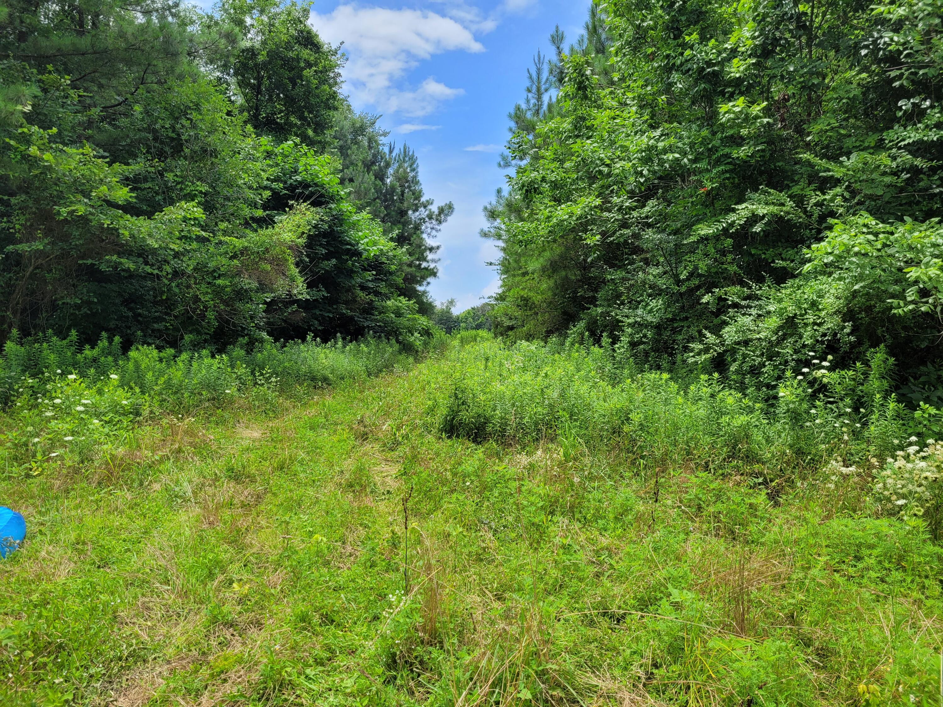 459 Co Road Englewood, TN 37329 - Photo 3 of 10 20210714_131611