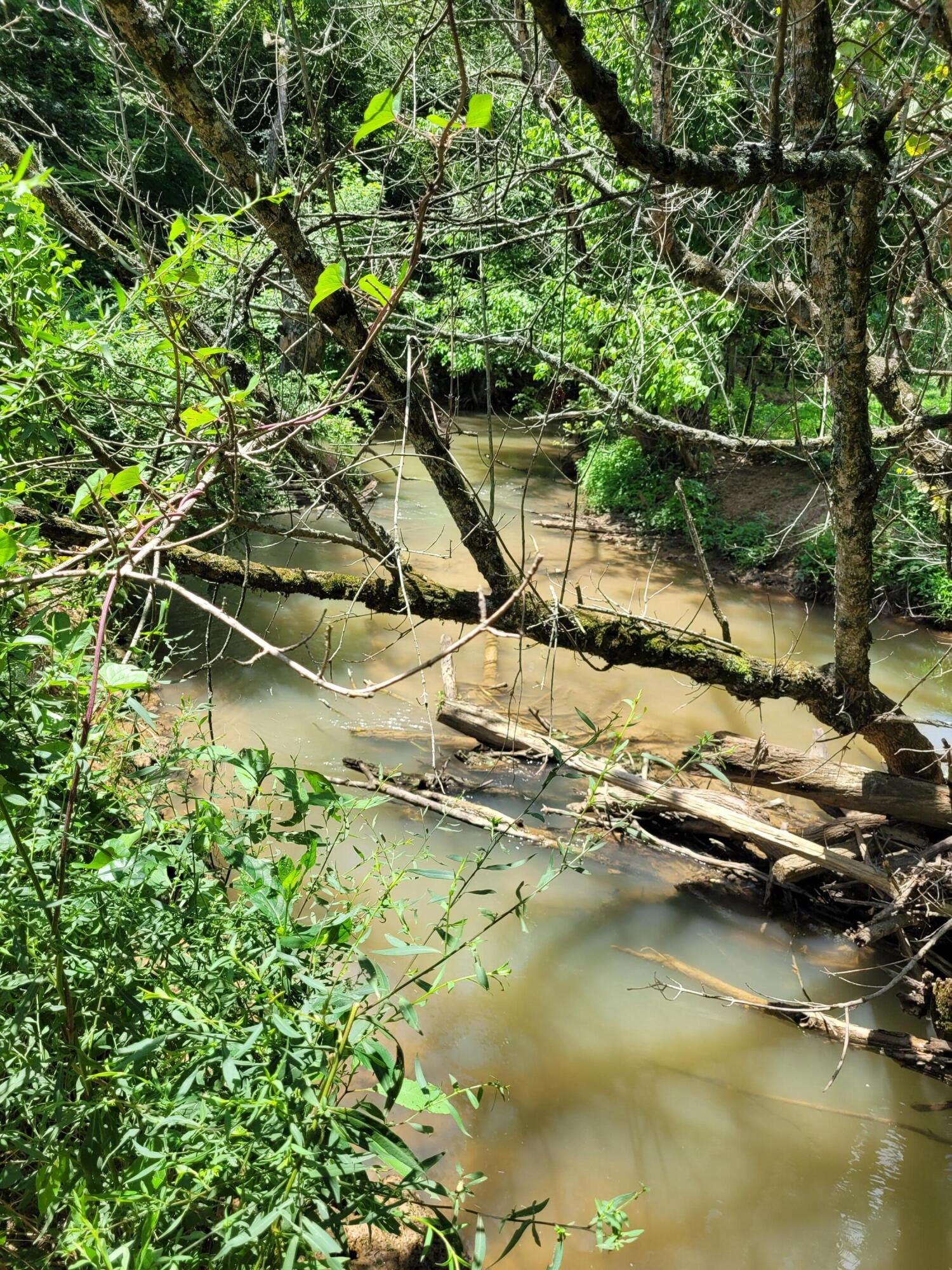459 Co Road Englewood, TN 37329 - Photo 8 of 10 Creek