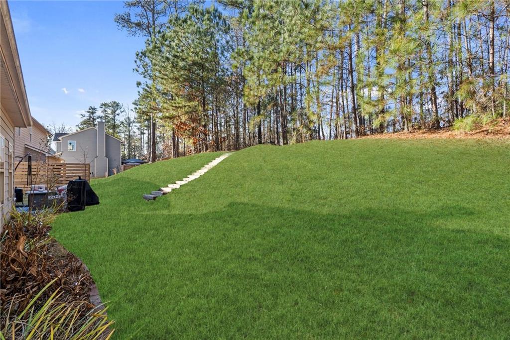 62 Timberland Trace Way Dallas, GA 30157 - Photo 25 of 27 a view of a field with grass and trees