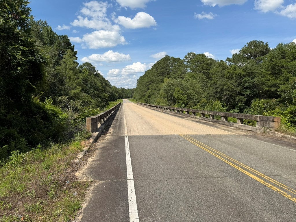 4574 Hadley Ferry Road Cairo, GA 39828 - Photo 28 of 51 Tired Creek Bridge