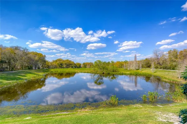 $875,000 | 5913 Flatwoods Manor Circle, Lithia, FL 33547