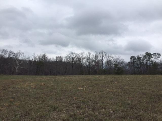 1 Francis Spring Road, Unit 1 Whitwell, TN 37397 - Photo 4 of 10 IMG_3318