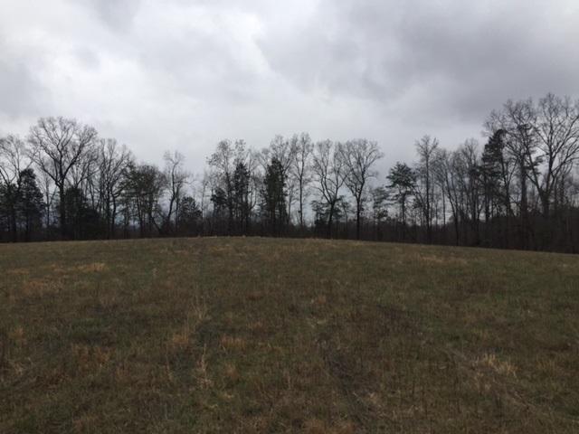 1 Francis Spring Road, Unit 1 Whitwell, TN 37397 - Photo 6 of 10 IMG_3323