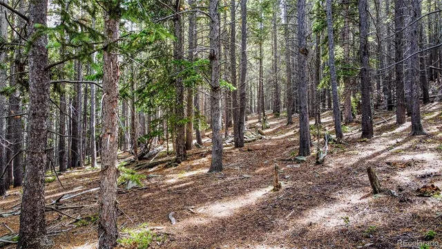 $395,000 | 0 Sawmill Lane, Idaho Springs, CO 80452