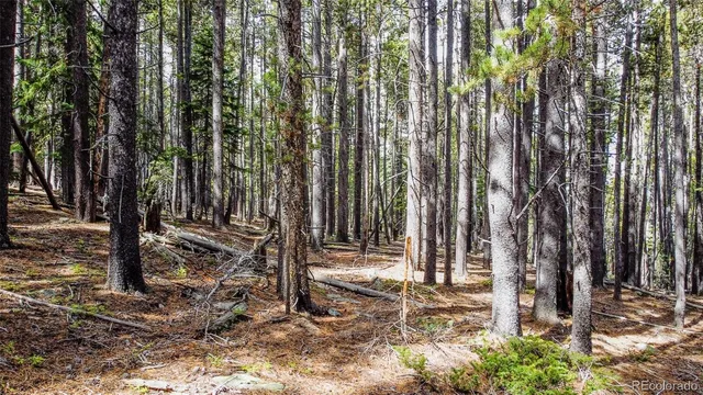 $395,000 | 0 Sawmill Lane, Idaho Springs, CO 80452