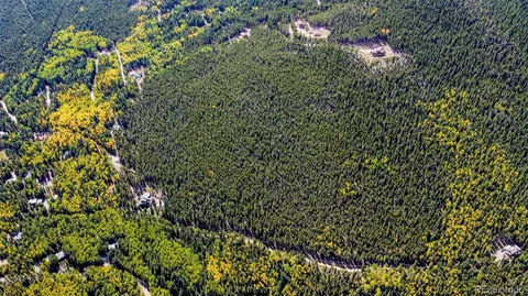 a view of a forest with a lush green hillside