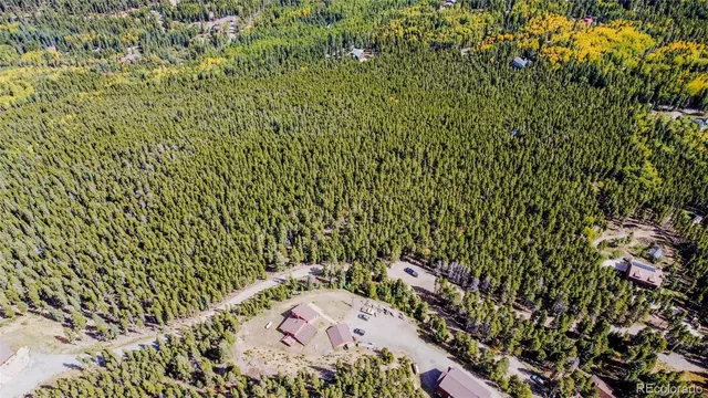 a view of a lush green forest with mountains in the background
