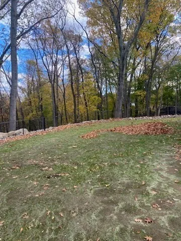a view of outdoor space with trees