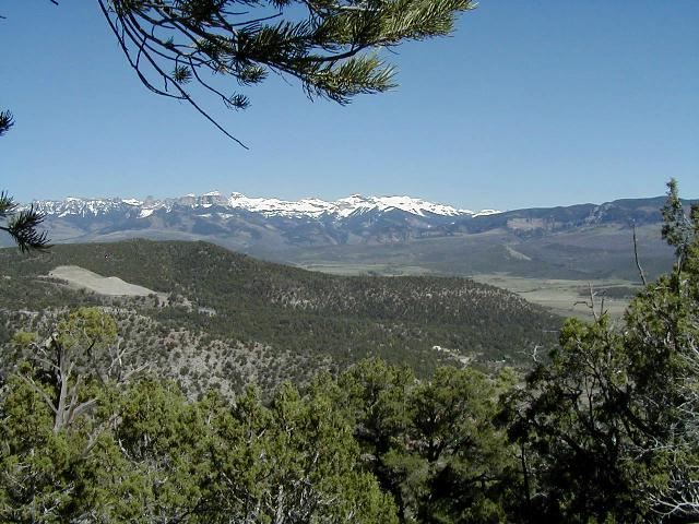 285 Enclave Road Ridgway, CO 81432 - Photo 3 of 7 a view of a lake in middle of forest