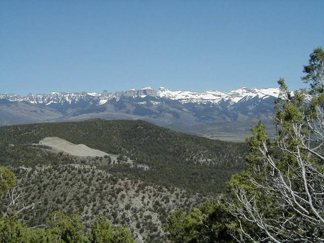 285 Enclave Road Ridgway, CO 81432 - Photo 7 of 7