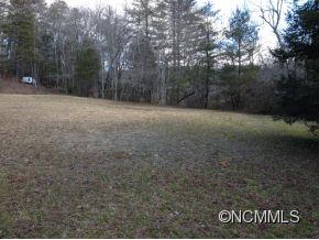 0 Walnut Hollow Road Brevard, NC 28712 - Photo 2 of 11 Gallery Image 2