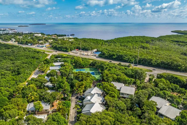 a view of a lake with a building in the background
