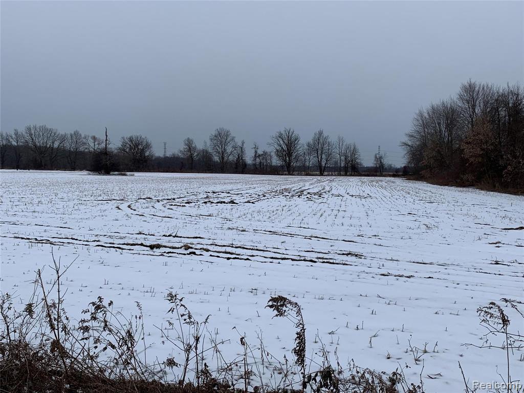 17134 34 Mile Road Armada, MI 48005 - Photo 4 of 5 Gallery Image 4