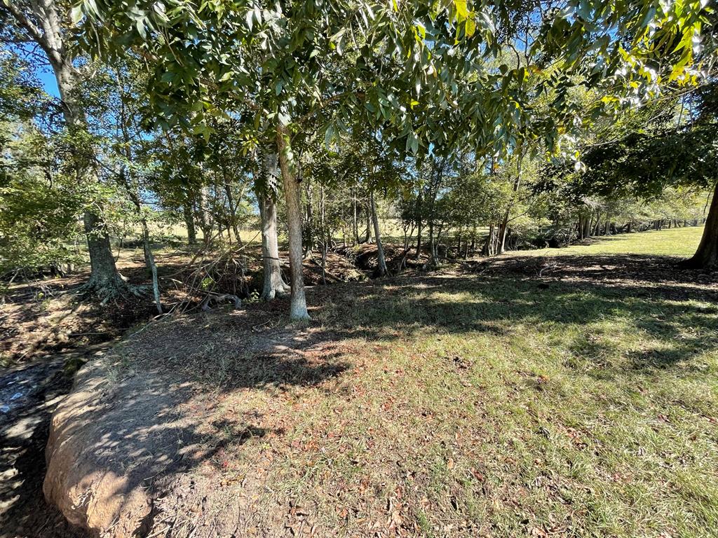 0 Ozell Road Boston, GA 31626 - Photo 21 of 46 Creek