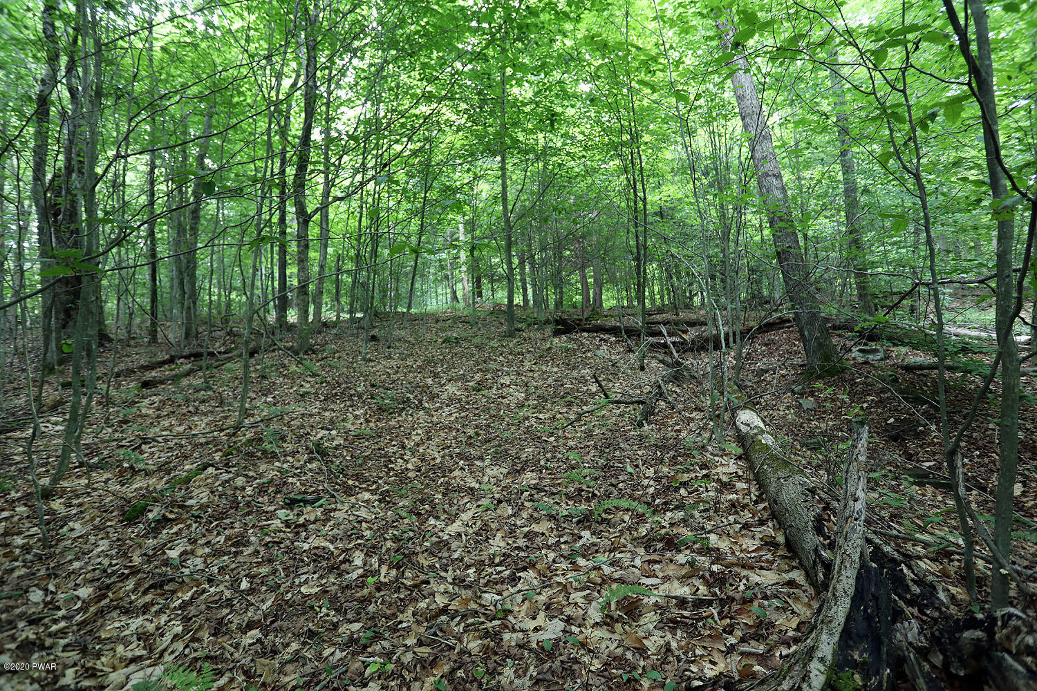 0 Minckler Mountain Road Equinunk, PA 18417 - Photo 12 of 39
