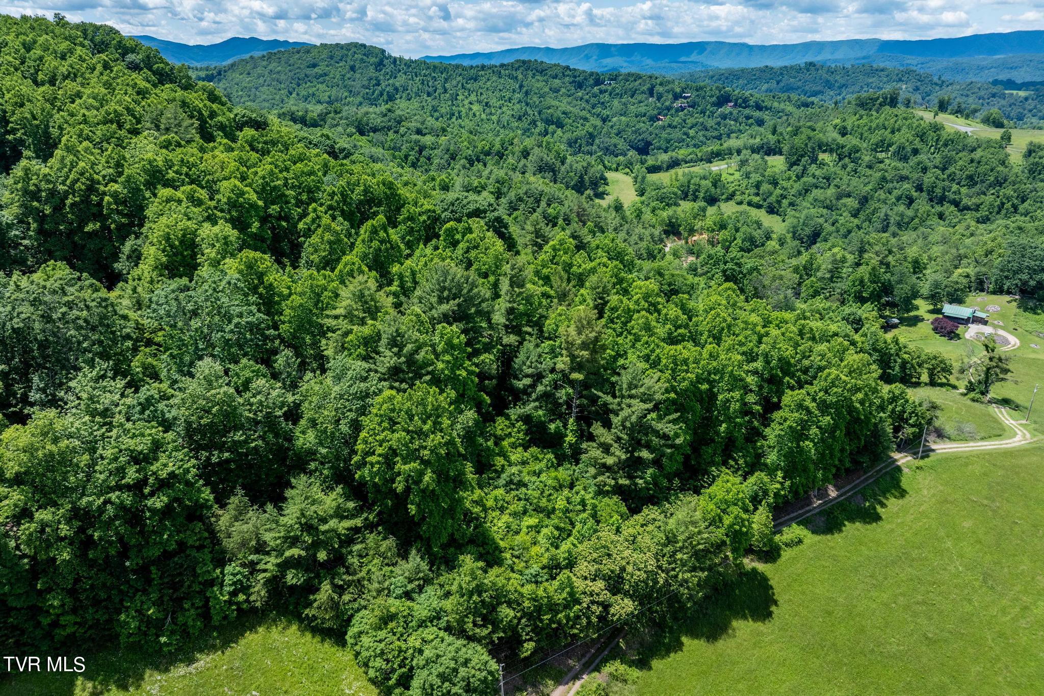 Tbd Tbd Dark Hollow Butler, TN 37640 - Photo 17 of 50 TBD Dark Hollow Private Dr (17 of 59)