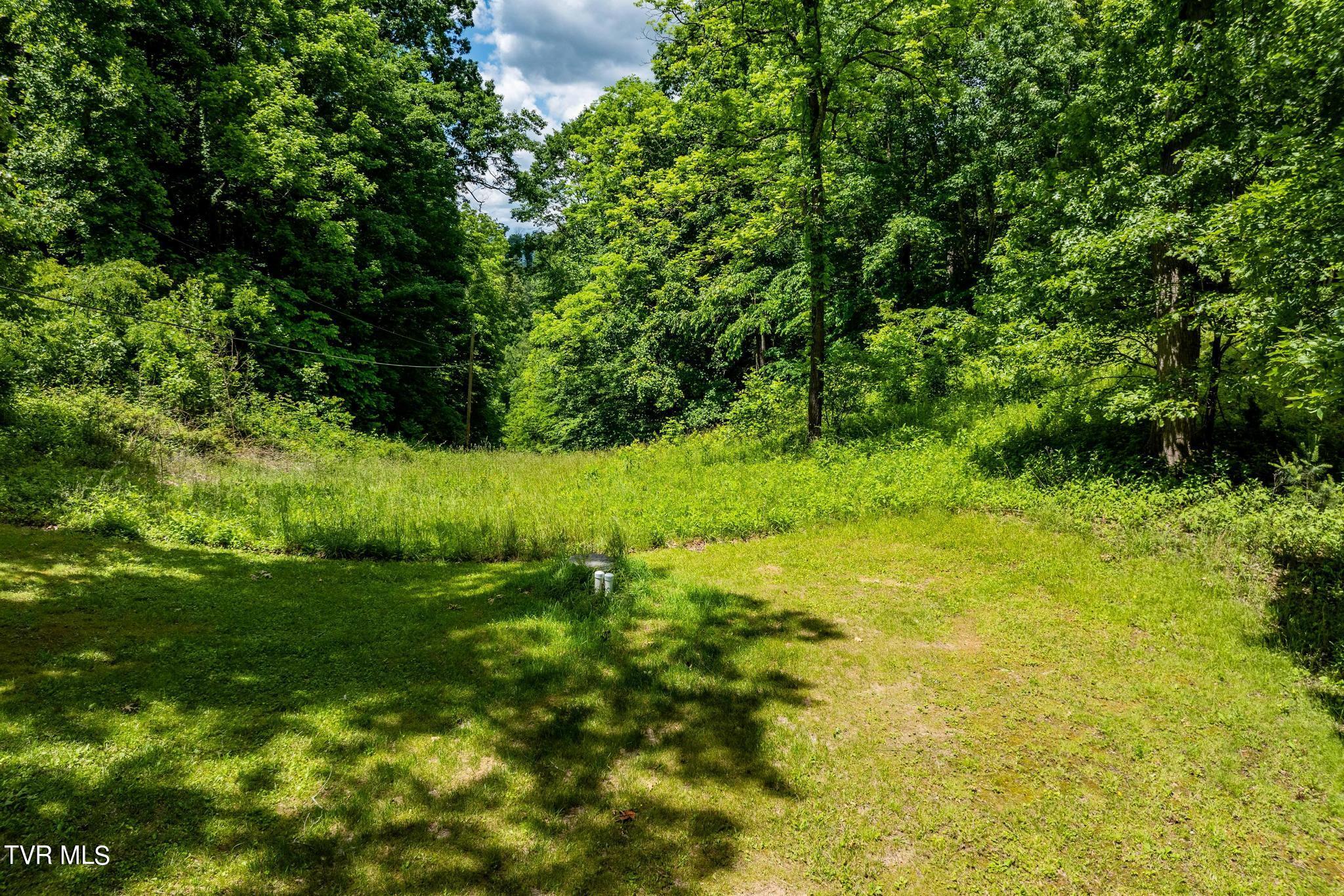 Tbd Tbd Dark Hollow Butler, TN 37640 - Photo 21 of 50 TBD Dark Hollow Private Dr (25 of 59)