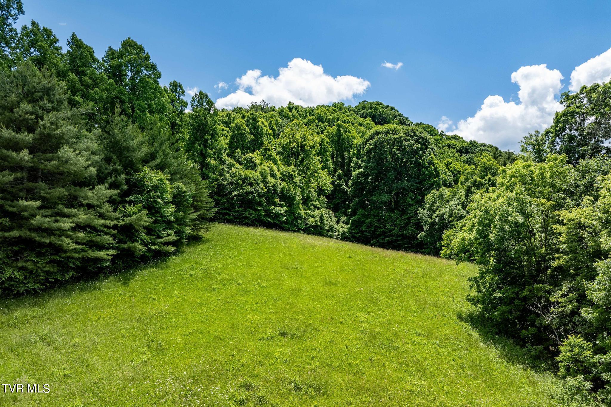 Tbd Tbd Dark Hollow Butler, TN 37640 - Photo 25 of 50 TBD Dark Hollow Private Dr (29 of 59)