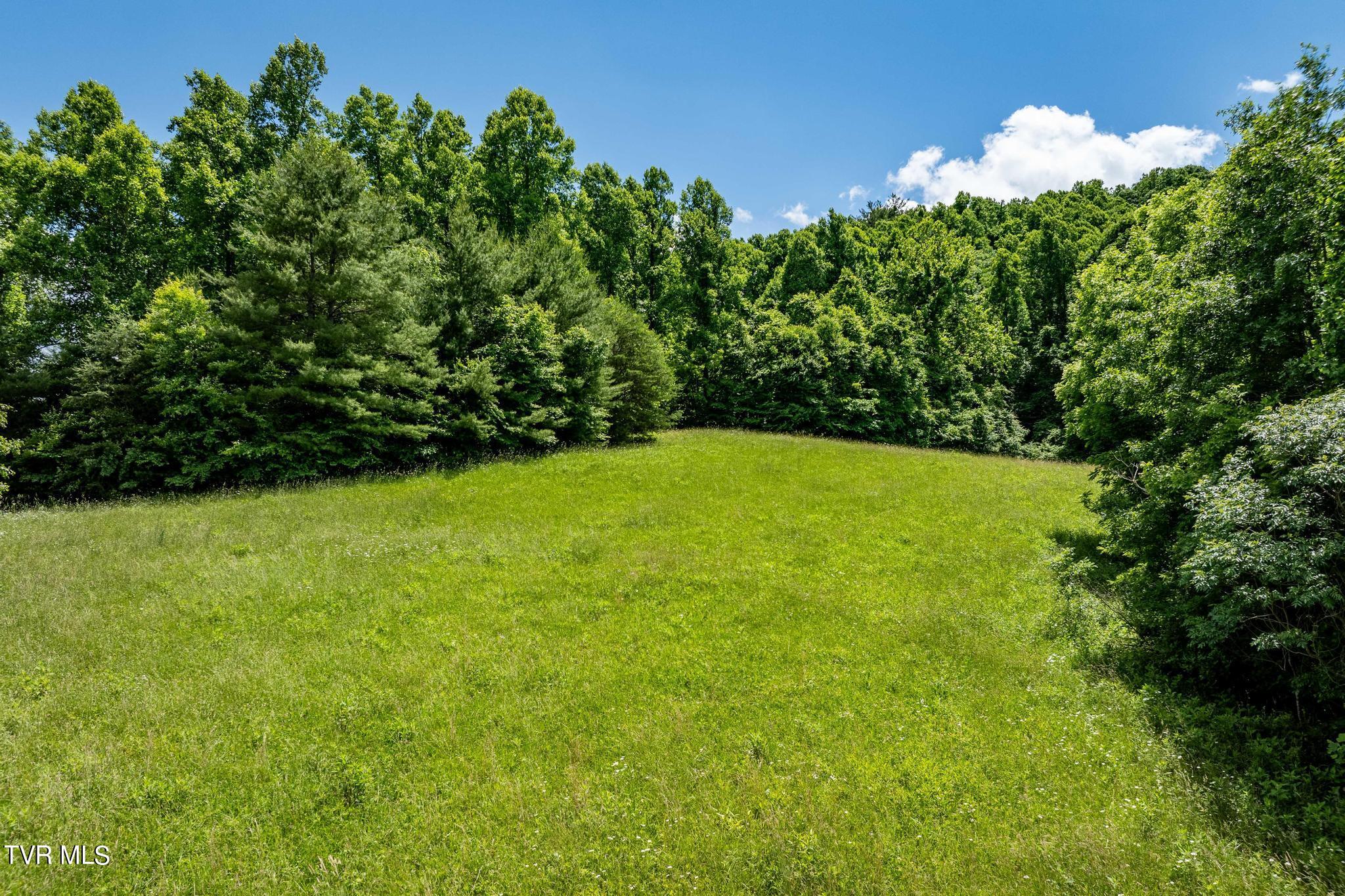 Tbd Tbd Dark Hollow Butler, TN 37640 - Photo 26 of 50 TBD Dark Hollow Private Dr (30 of 59)