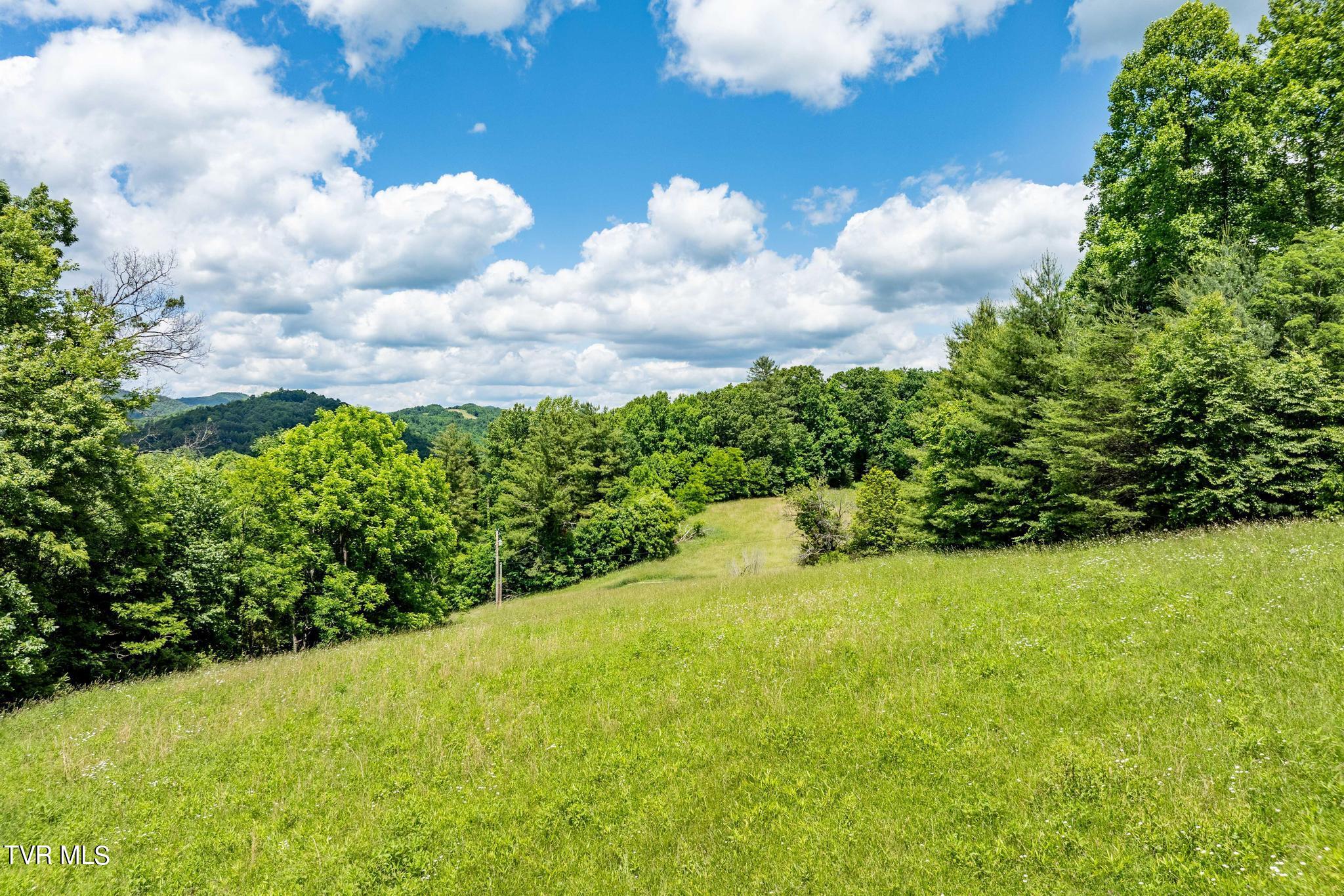 Tbd Tbd Dark Hollow Butler, TN 37640 - Photo 28 of 50 TBD Dark Hollow Private Dr (32 of 59)