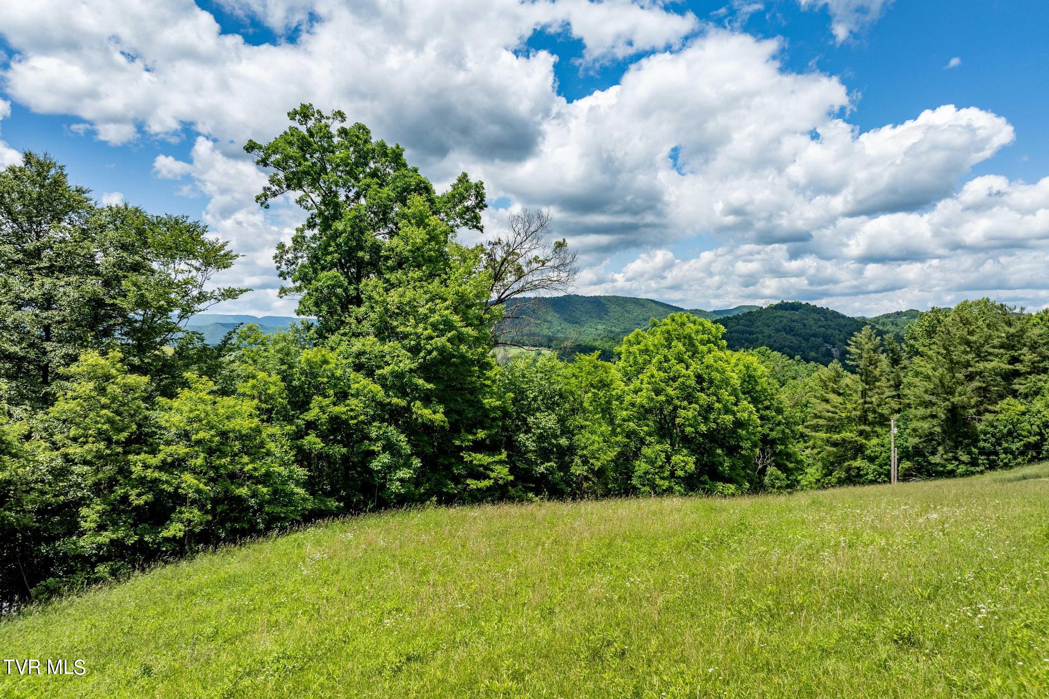 Tbd Tbd Dark Hollow Butler, TN 37640 - Photo 29 of 50 TBD Dark Hollow Private Dr (33 of 59)