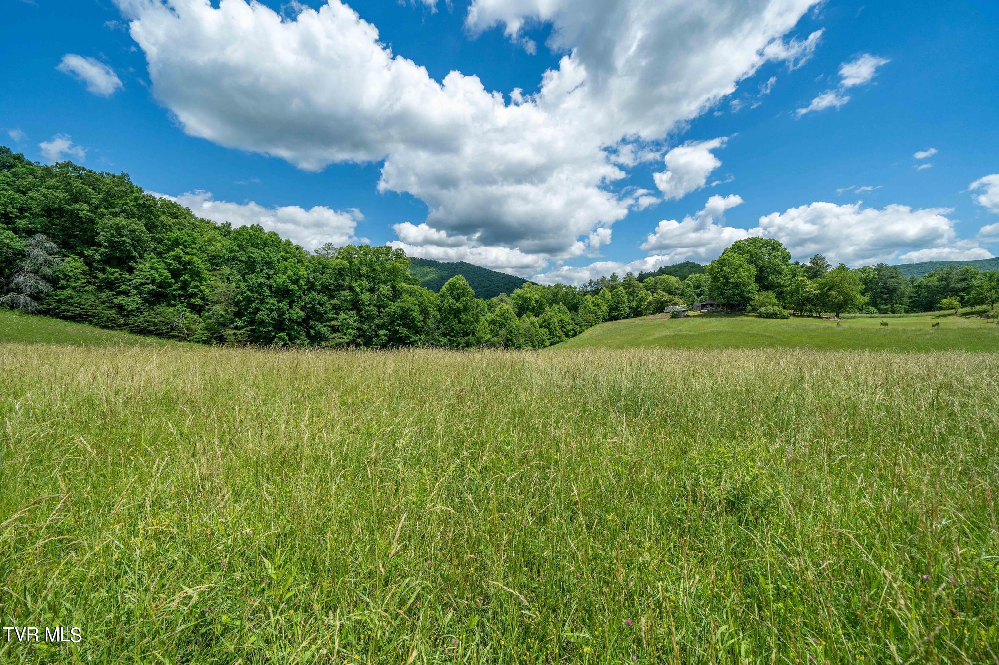 Tbd Tbd Dark Hollow Butler, TN 37640 - Photo 31 of 50 TBD Dark Hollow Private Dr (35 of 59)
