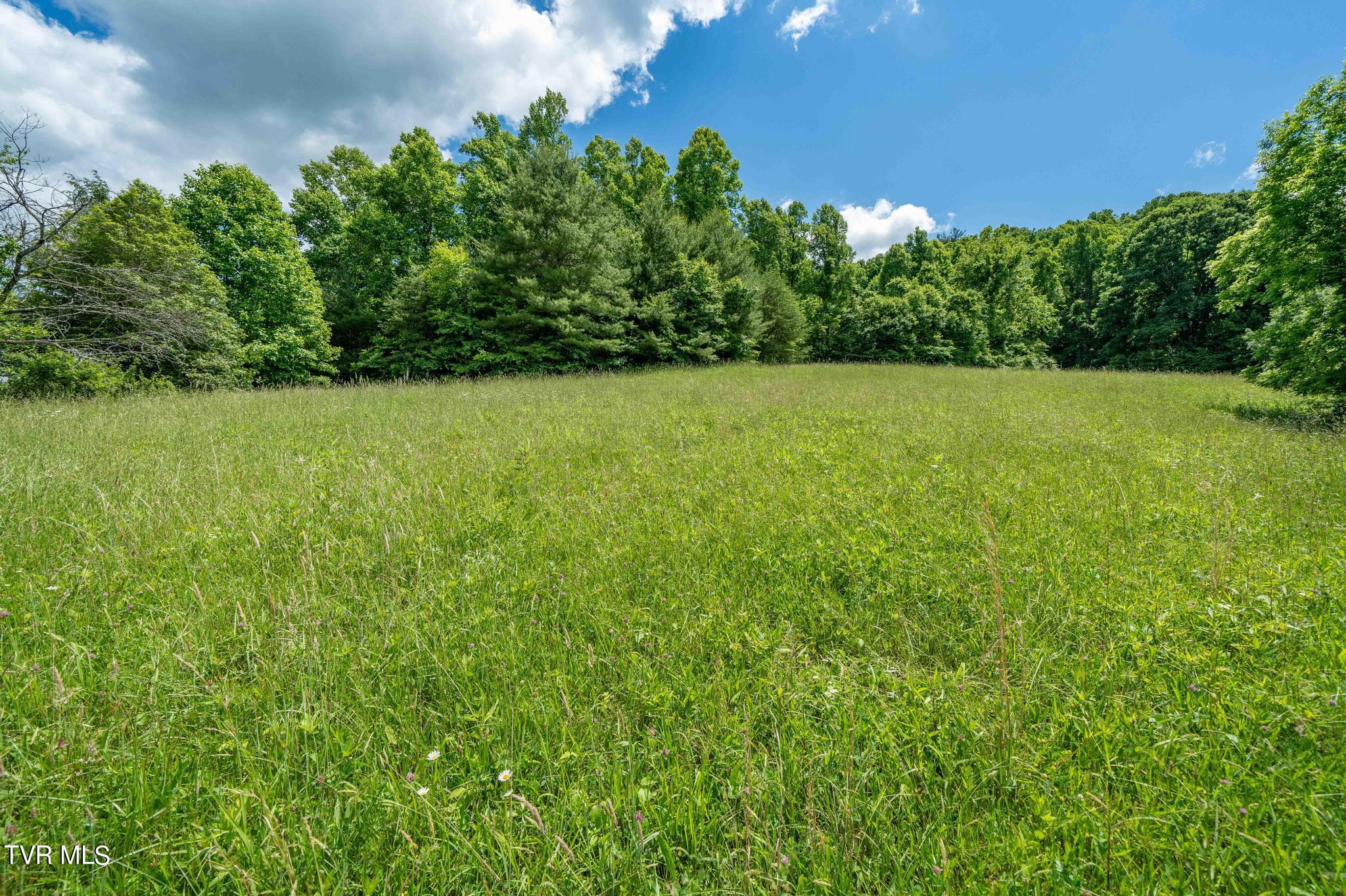 Tbd Tbd Dark Hollow Butler, TN 37640 - Photo 32 of 50 TBD Dark Hollow Private Dr (41 of 59)