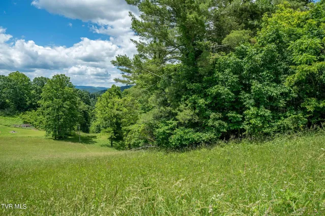 $274,900 | Tbd Tbd Dark Hollow, Butler, TN 37640