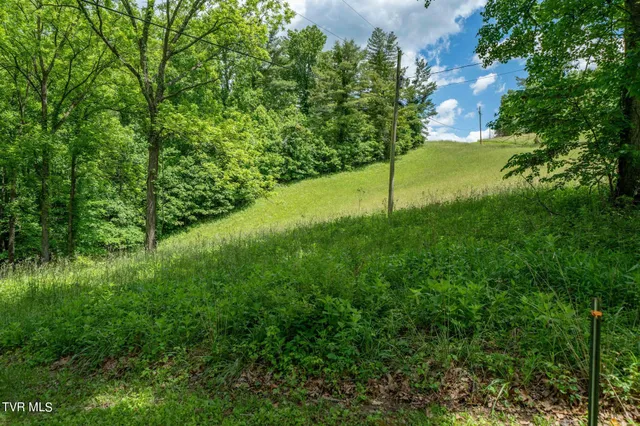 $274,900 | Tbd Tbd Dark Hollow, Butler, TN 37640