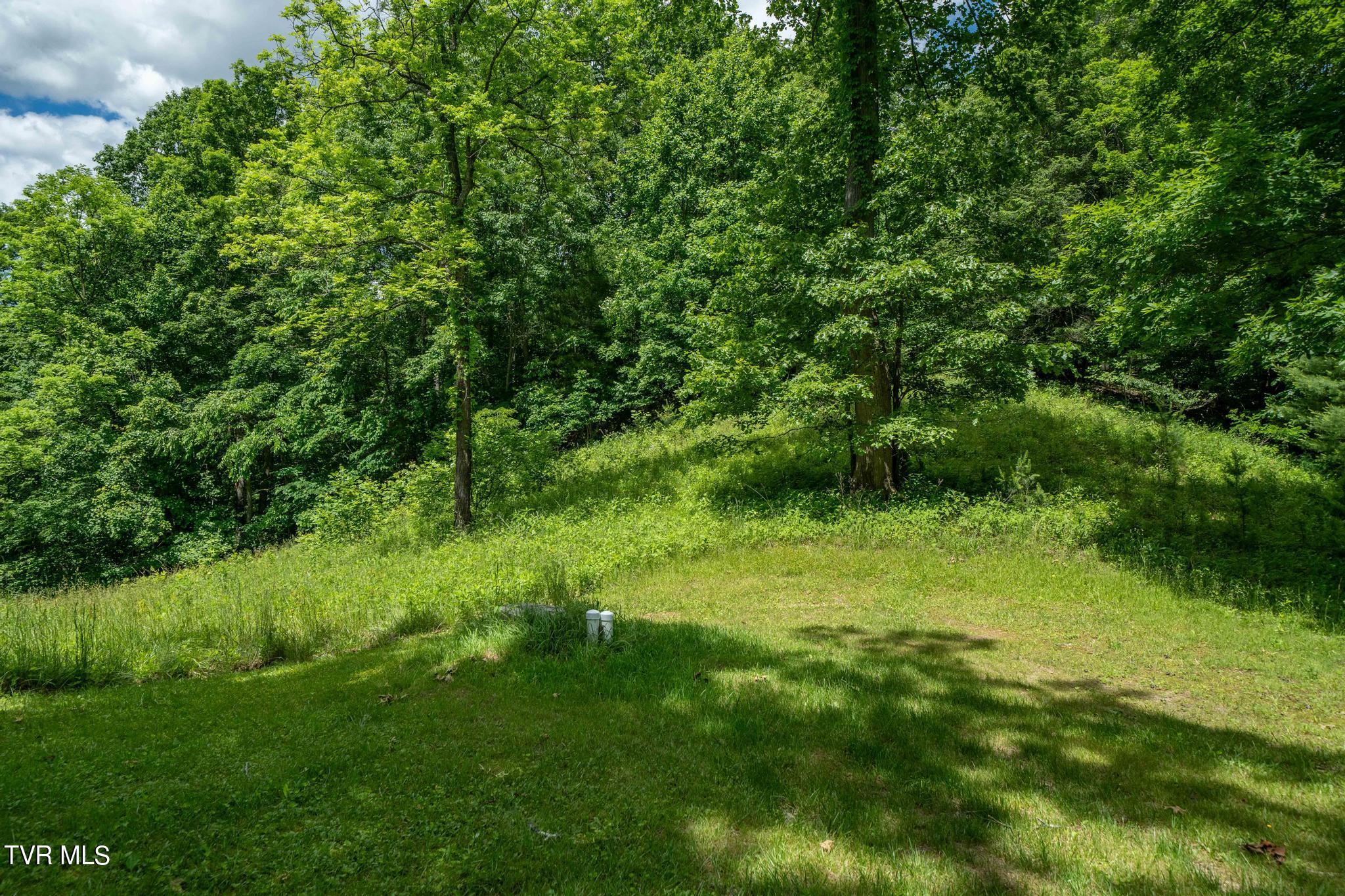 Tbd Tbd Dark Hollow Butler, TN 37640 - Photo 36 of 50 TBD Dark Hollow Private Dr (45 of 59)