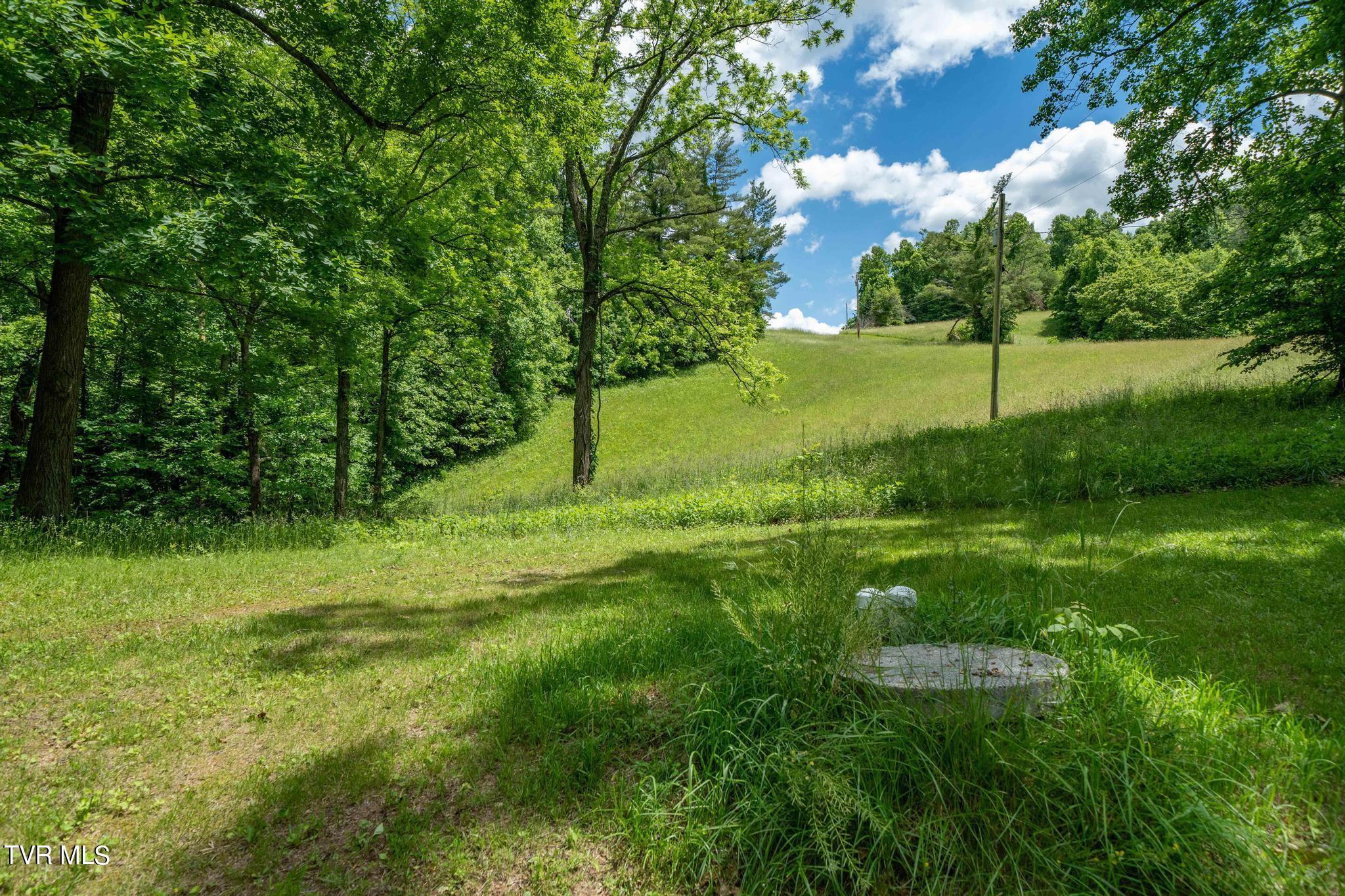 Tbd Tbd Dark Hollow Butler, TN 37640 - Photo 38 of 50 TBD Dark Hollow Private Dr (47 of 59)